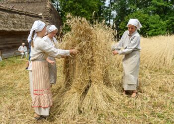 Lublin: W niedzielę ruszają żniwa w skansenie