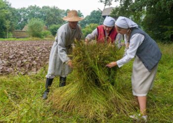 Lublin: Muzeum Wsi Lubelskiej zaprasza na Niedzielę z lnem