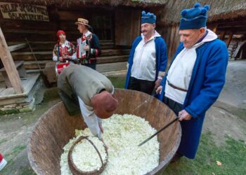 Pokaz tradycyjnego kiszenia kapusty już w ten weekend w skansenie