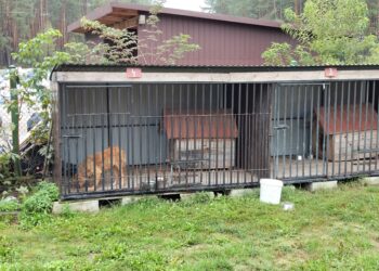 Potrzebna jest pomoc. Przyłącz się do akcji!