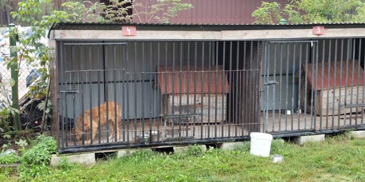 Potrzebna jest pomoc. Przyłącz się do akcji!