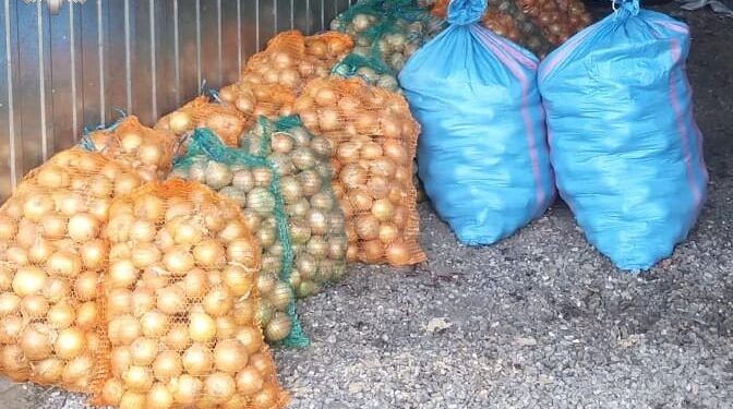 Tarnogród: Kradli cebulę. Wpadli na gorącym uczynku