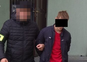 Terespol: Kradli drzewo i sprzedawali je w Internecie