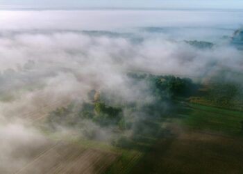 Lubelszczyzna: IMGW wydał ostrzeżenie o gęstych mgłach