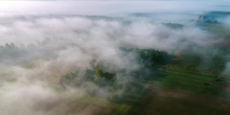 Lubelszczyzna: IMGW wydał ostrzeżenie o gęstych mgłach