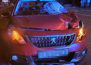 Bodaczów: Wstępne ustalenia policji w sprawie wczorajszego tragicznego wypadku