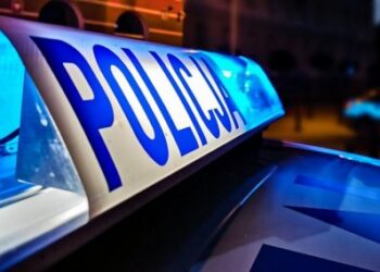 policja
