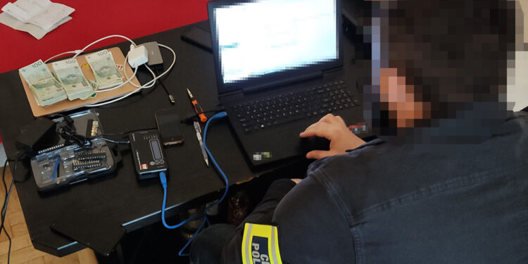 Internetowi oszuści wpadli po kradzieży ponad 200 tys. zł