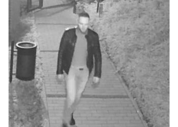 Policja szuka wandala. Znasz go?