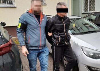 Ukradł samochód do rozwożenia pizzy