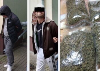 Ponad 9 tysięcy dilerskich porcji narkotyków w rękach policji