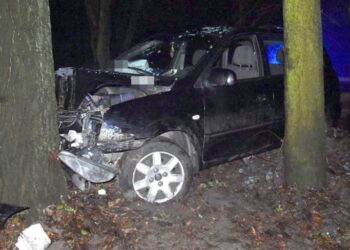 Stracił panowanie nad pojazdem i uderzył w drzewo