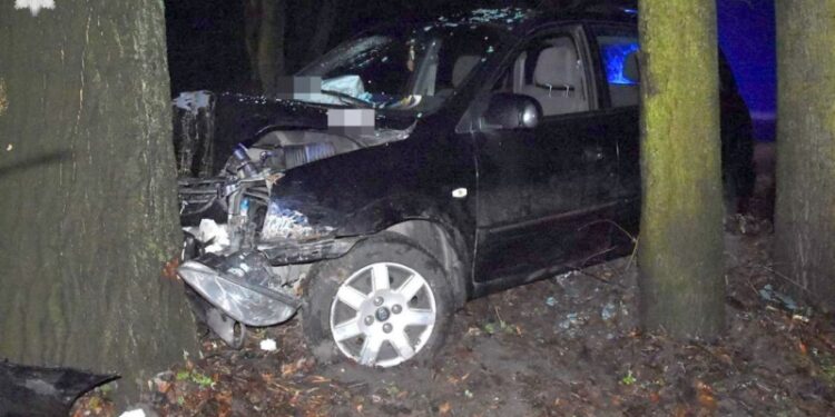 Stracił panowanie nad pojazdem i uderzył w drzewo