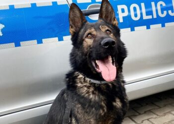 Rep rozpoczyna służbę w policji