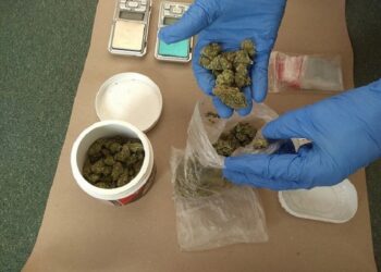 Odpowie za posiadanie pół tysiąca dealerskich porcji narkotyków