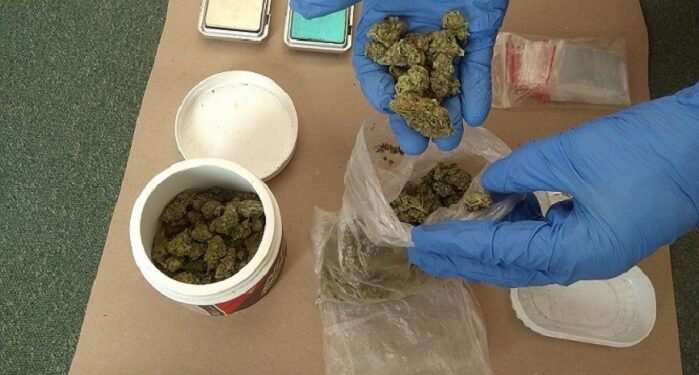 Odpowie za posiadanie pół tysiąca dealerskich porcji narkotyków