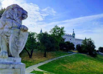 Pomnik Lew Symbol Lwowa przejdzie renowację