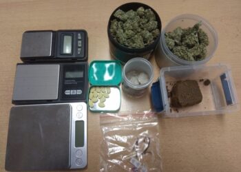 Policja zabezpieczyła prawie 600 dilerskich porcji narkotyków