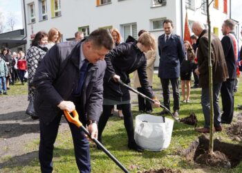 Zasadzili kolejny Dąb Pamięci ofiar zbrodni katyńskiej