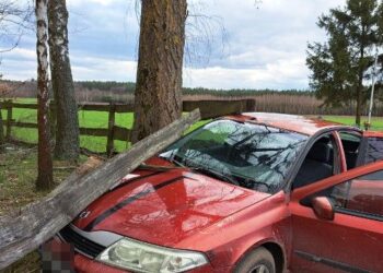 Wjechał w ogrodzenie, a potem zasnął. Był pijany