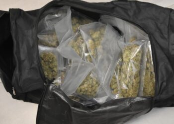 34- i 38-latek zatrzymani z narkotykami. Trafili do aresztu