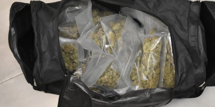 34- i 38-latek zatrzymani z narkotykami. Trafili do aresztu