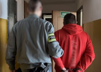 Miał w mieszkaniu narkotyki i nielegalną amunicję