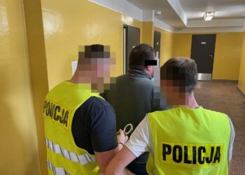 39-latek pobił dostawcę pizzy, bo nie chciał go podwieźć