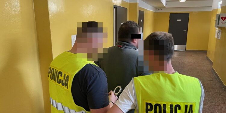 39-latek pobił dostawcę pizzy, bo nie chciał go podwieźć