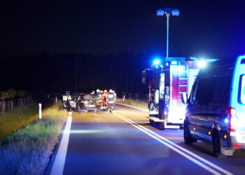 Groźny wypadek z udziałem łosia w powiecie ryckim