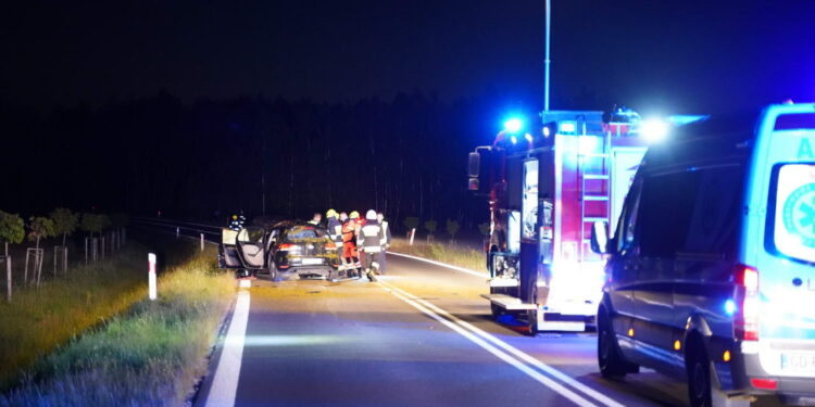 Groźny wypadek z udziałem łosia w powiecie ryckim