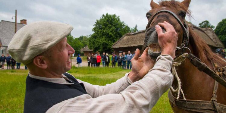 W skansenie przypomną, jak kiedyś handlowano końmi