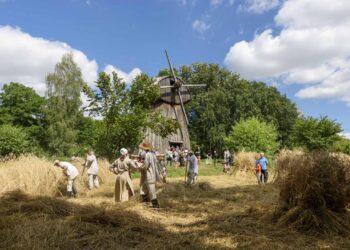 Pokażą, jak wyglądał zbiór zbóż na przedwojennej wsi