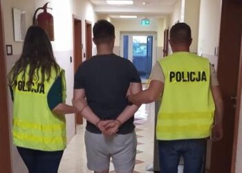 Ma na koncie 9 podpaleń. Straty wyceniono na ponad 500 tys. zł