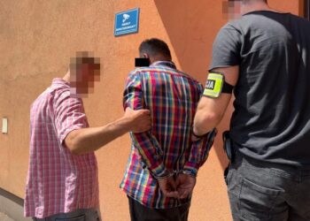 14-latka i 52-letni wujek popełnili o jedno przestępstwo za dużo. Rozpracowali ich kryminalni z Puław