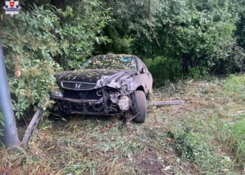 Miał narkotyki w bieliźnie. Wczoraj rozbił hondę na drzewie