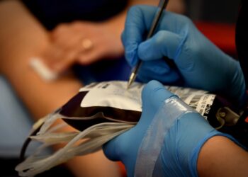 Terenowe akcje poboru krwi na Lubelszczyźnie. Sprawdź, gdzie będzie można oddać krew