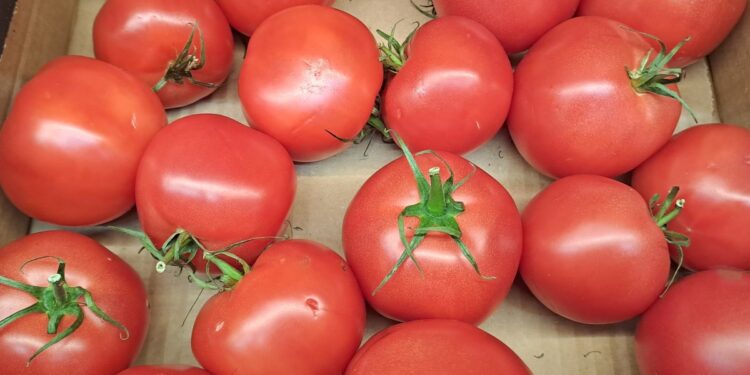 Planował zrobić keczup z cudzych pomidorów. Dostał mandat