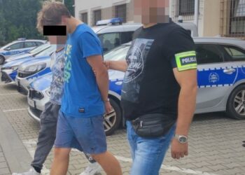 Znęcał się nad matką. 17-latek trafił do aresztu