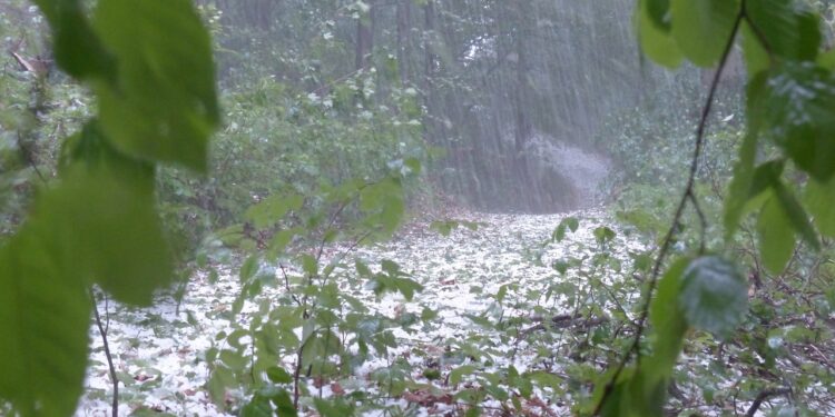 Upał oraz burze z gradem na Lubelszczyźnie. IMGW ostrzega
