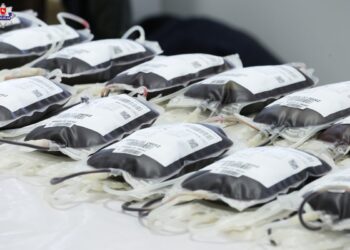 Terenowe akcje poboru krwi na Lubelszczyźnie. Sprawdź, gdzie będzie można oddać krew