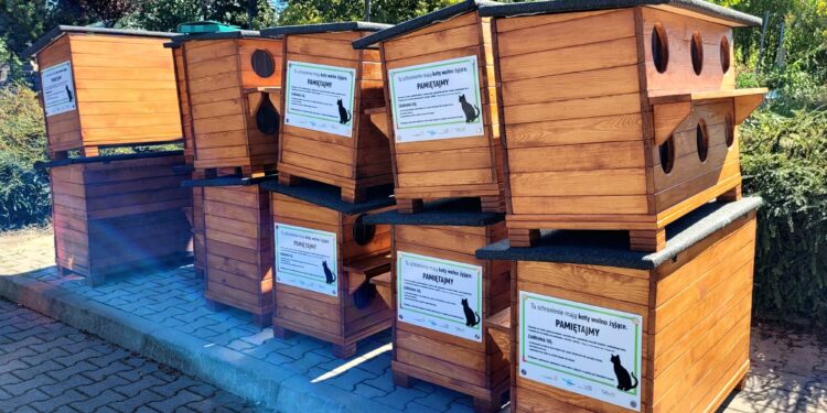 Bezpańskie koty będą miały nowe schronienia