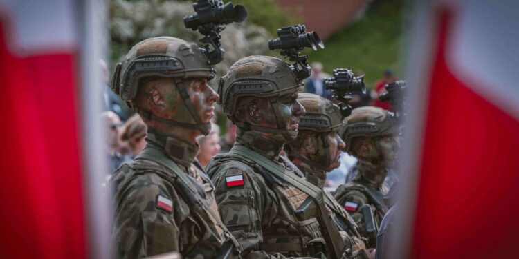 Minęło 6 lat od powołania Wojsk Obrony Terytorialnej
