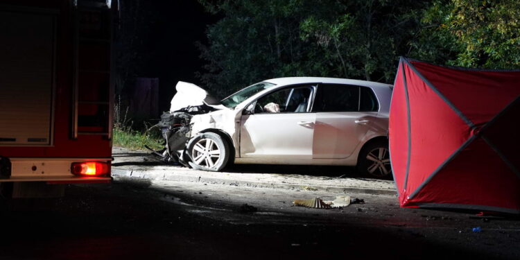 W nocnym wypadku w powiecie ryckim życie straciły dwie osoby, cztery zostały ranne