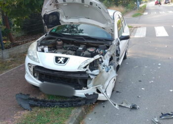 Dwie osoby, w tym półroczne dziecko trafiły do szpitala po wypadku w powiecie ryckim