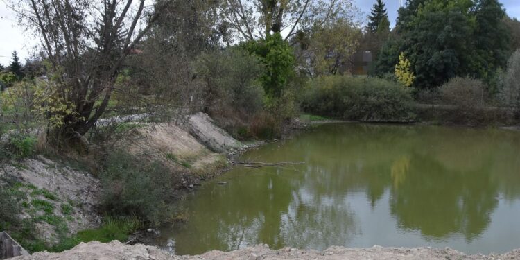 Tragedia w powiecie biłgorajskim. W stawie utonął 75-latek