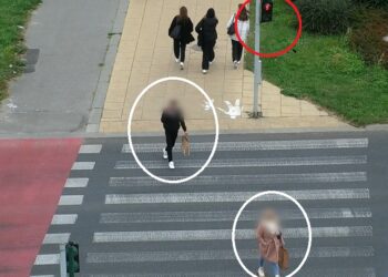 Aż 164 wykroczenia ujawnili lubelscy policjanci podczas jednej akcji. Większość z nich popełnili piesi