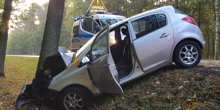Chciał uniknąć zderzenia z ciężarówką i uderzył w drzewo