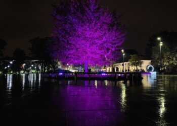 Lubelskie iluminacje zmienią kolor na różowy