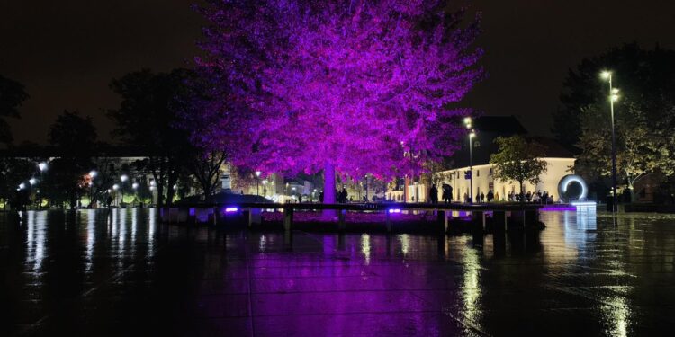 Lubelskie iluminacje zmienią kolor na różowy